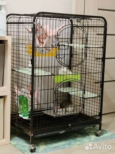 Клетка триол