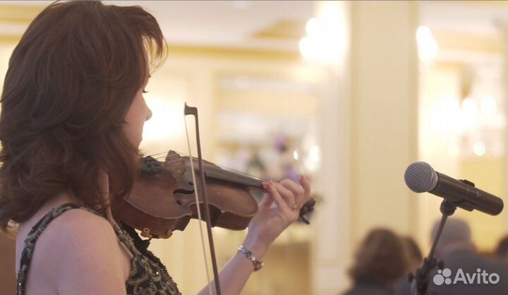Живая музыка, скрипка на праздник