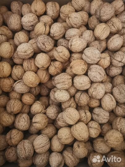 Грецкий орех в скорлупе