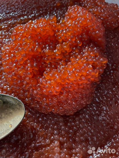 Икра красная