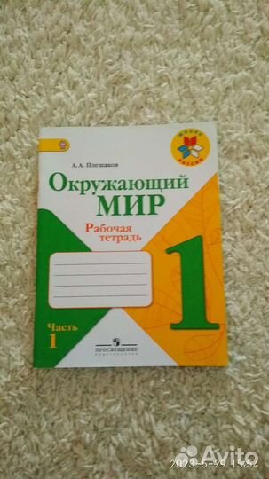 Окружающий мир 1 класс Рабочая тетрадь