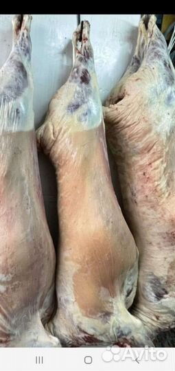 Халал баранина курдючная с юга