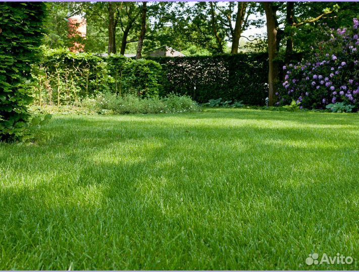 Рулонный газон с укладкой спортивный