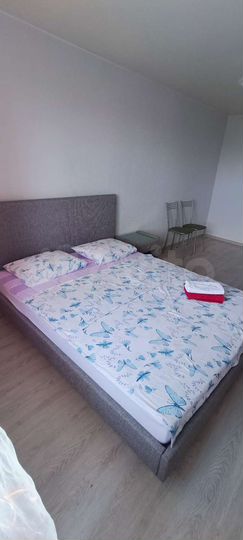 1-к. квартира, 24 м², 7/9 эт.