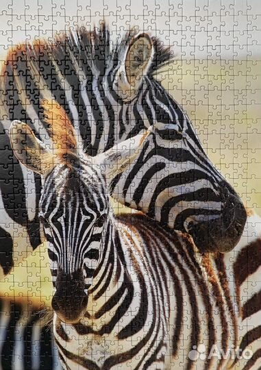 Пазл, пазлы Trefl