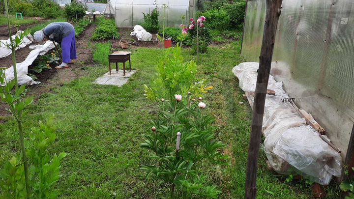 Участок 6,3 сот. (СНТ, ДНП)