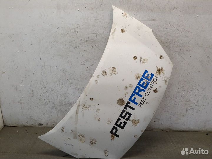 Капот Citroen Berlingo, 2012