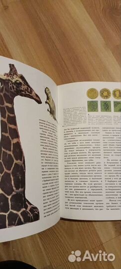 Книга Мир эволюции А.Яблоков