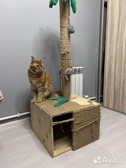 Когтеточка домик для кошки