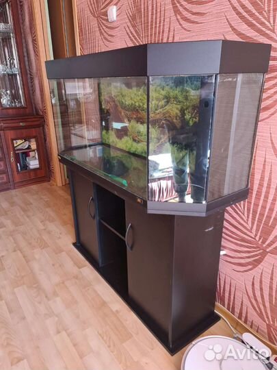 Аквариум с тумбой 200 литров