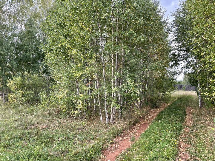 Участок 13,5 сот. (ИЖС)