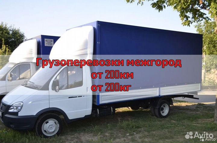 Грузоперевозки спб Москва