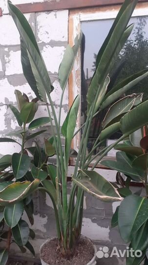 Распродажа