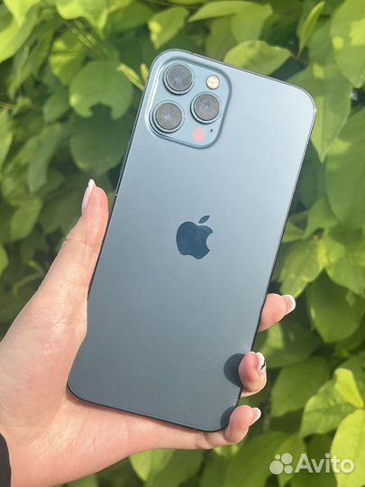 iPhone 12 Pro Max / 256 / sim