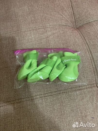 Одежда для собак