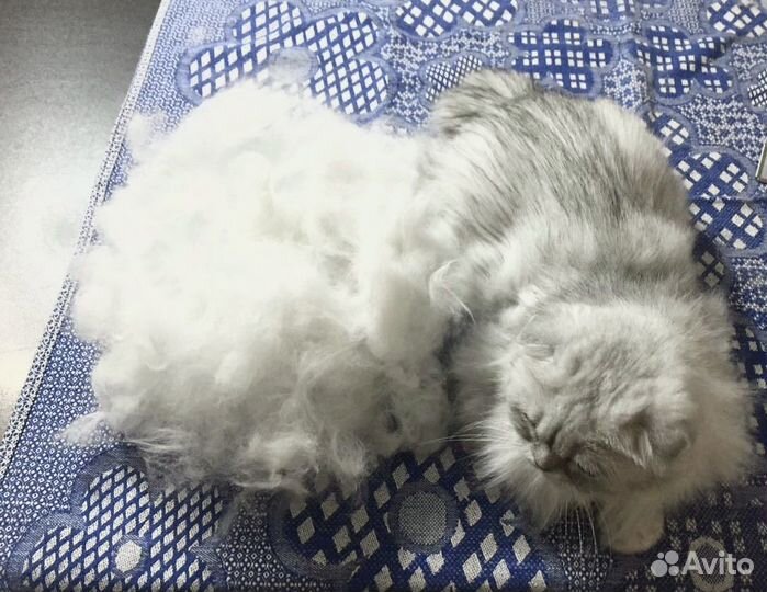 Кошачья шерсть для рукоделия