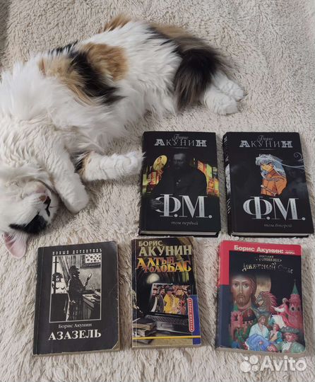 Акунин Борис детектив