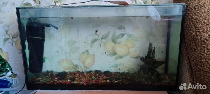 Аквариум