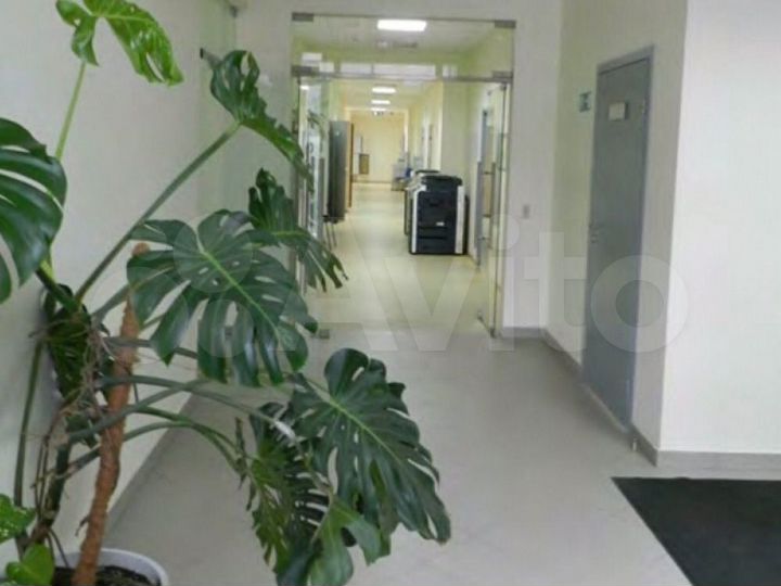 Офисное помещение, 1223 м²