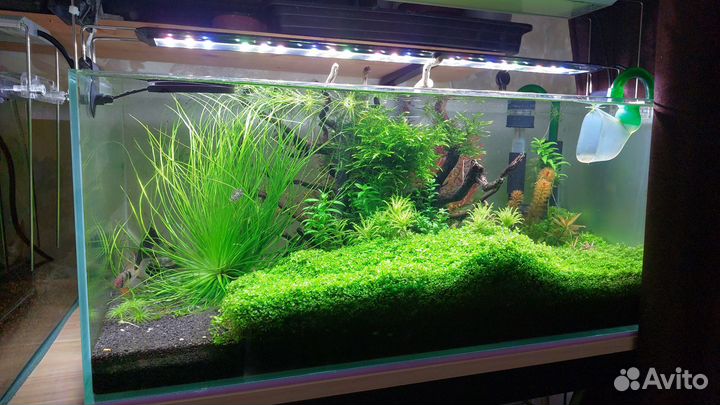 Аквариум с полным оборудованием