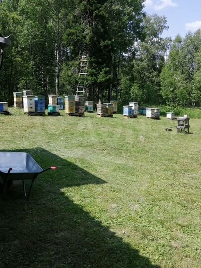 Участок 10 сот. (СНТ, ДНП)