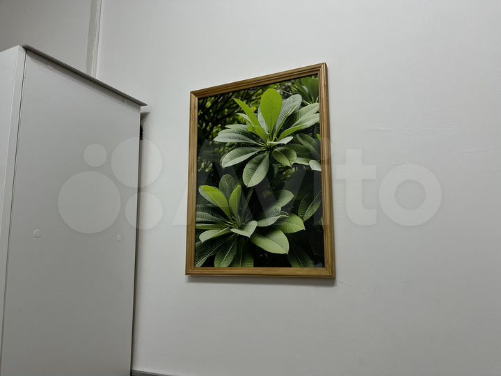 Квартира-студия, 12 м², 1/5 эт.