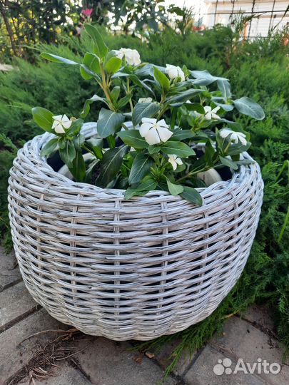 Кашпо для цветов