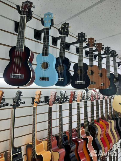 Гитары большой выбор