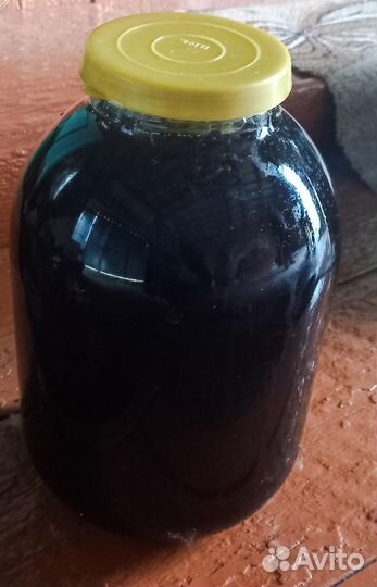 Продам гречишный мёд 2023