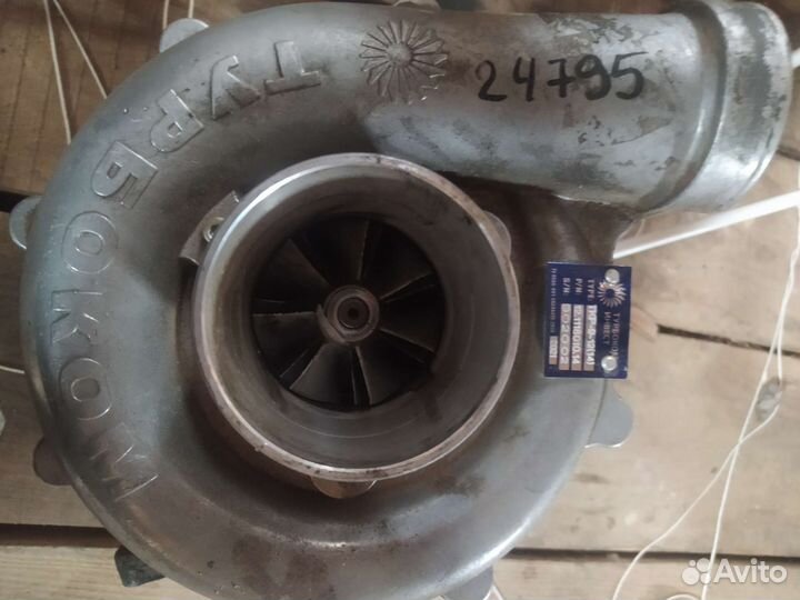 Турбина мазовская