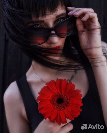 Профессиональный Фотограф