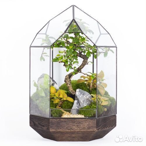 Геометрическая ваза/флорариум на подставке из дуба