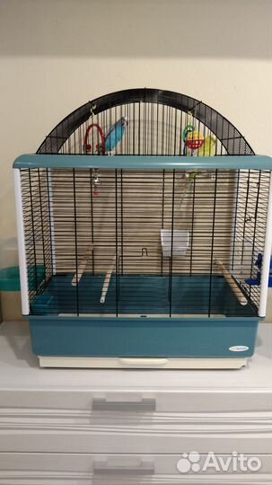 Волнистые попугаи пара с просторной клеткой