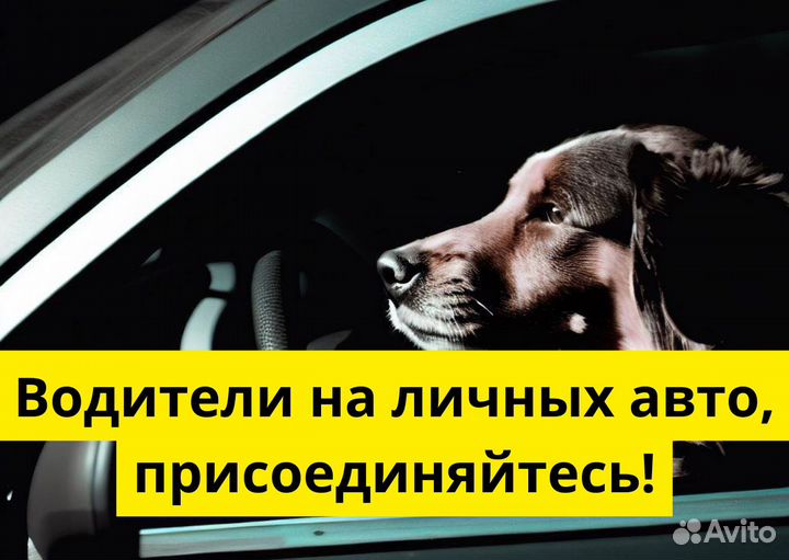 Ищем водителя с автомобилем для яндексgo