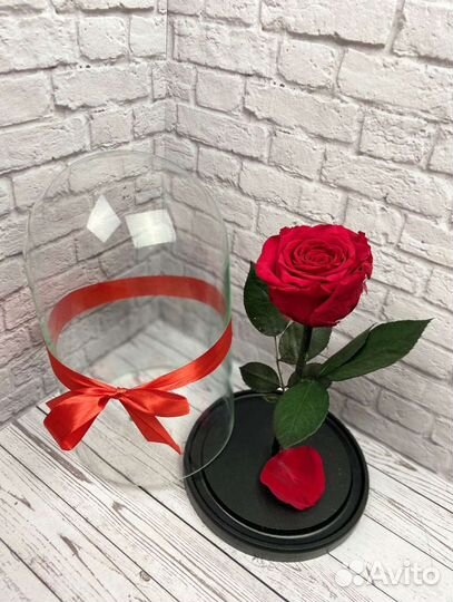 Роза в колбе