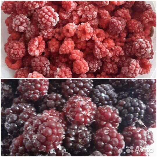 Малина и ежевика, замороженная