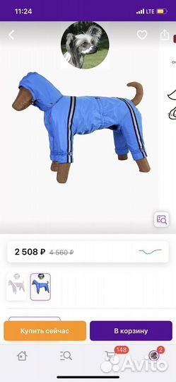 Комбинезон для собаки