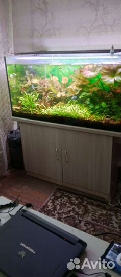 Аквариум