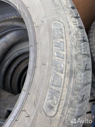 Tigar Winter 185/60 R15