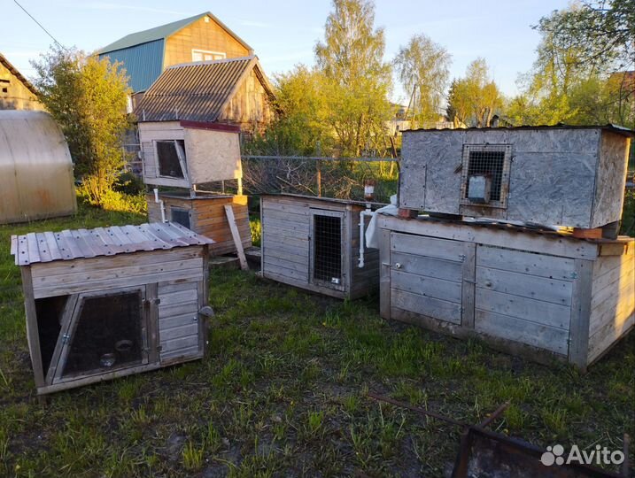 Клетки для кроликов