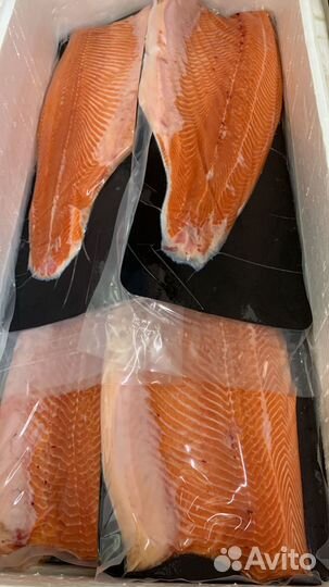 Семга с.с Форель Креветки Морепродукты