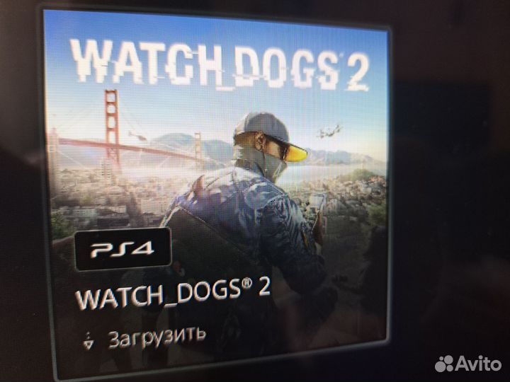 Elden ring и Stray на PS4 и PS5