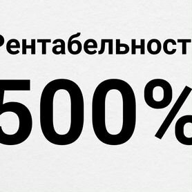 Ит-бизнес. Доход 10 млн за год с вложенных 2 млн