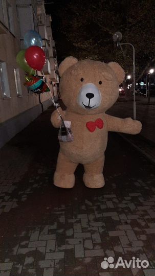 Поздравления,Аренда:Мишки Тедди, кот Василий