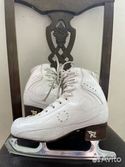 Risport royal elite 240