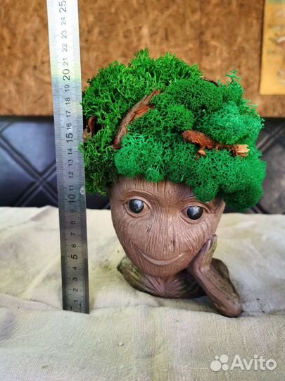 Стабилизированный мох в кашпо, грут