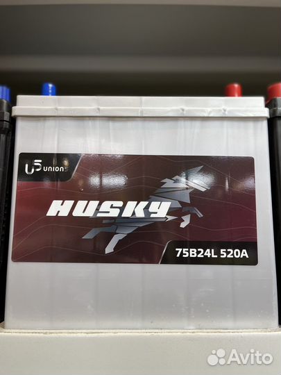 Аккумулятор Husky Asia 55 А/Ч обратной полярности