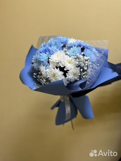 Хризантема кустовая