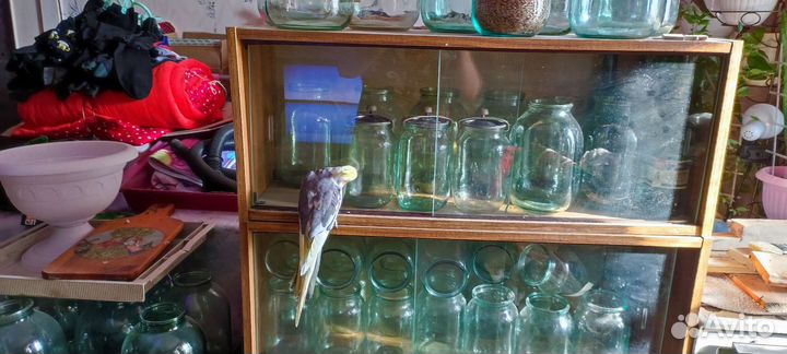 Банки стеклянные