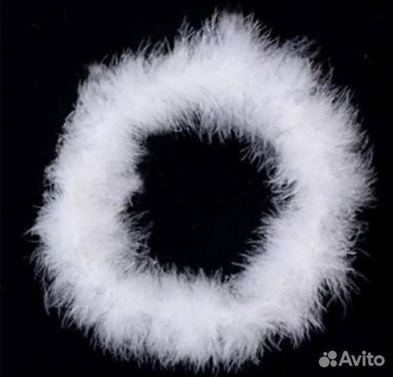 Крылья ангела